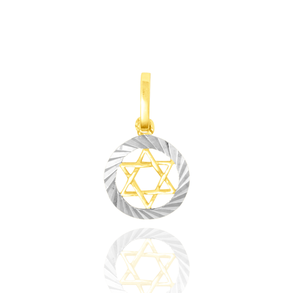 Pendentif en forme d'étoile de David en Or Jaune et Or Blanc 18 Carats - 750/000.   CARACTERISTIQUES :  Hauteur (mm) : 15.3 Poids (gr) : 1.64 Matière : Or 18 Carats - 750/000 18744 